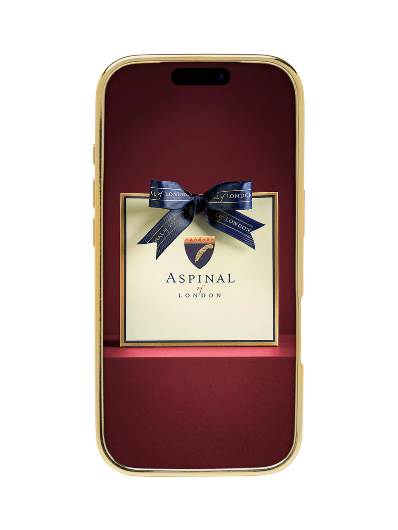 Aspinal of London iPhone 17 Pro leather case, imported from the UK