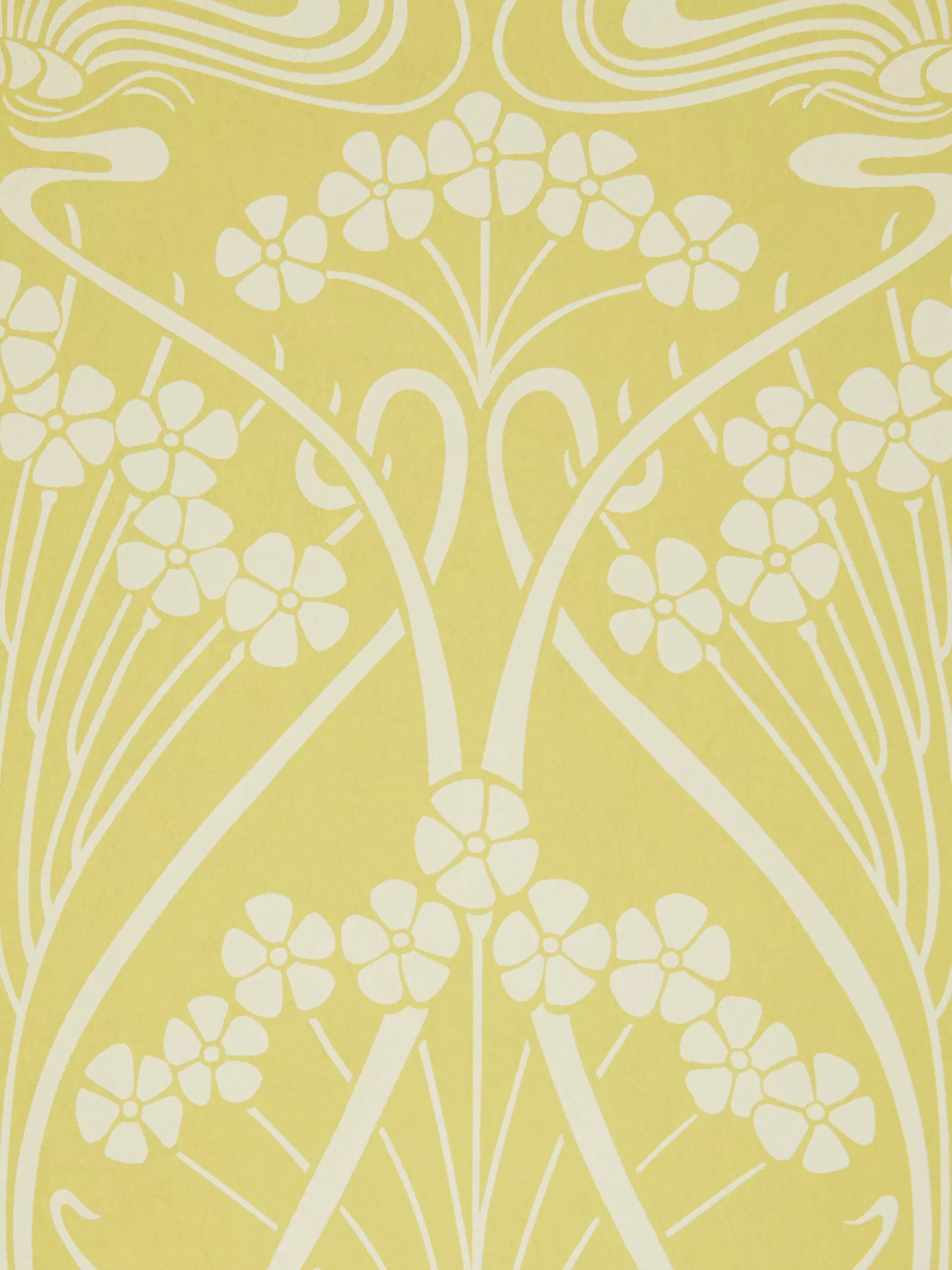 Liberty London Ianthe Mono Wallpaper, Fennel