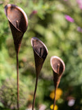Wilstone decorative lily metal plant supports set of three, UK version