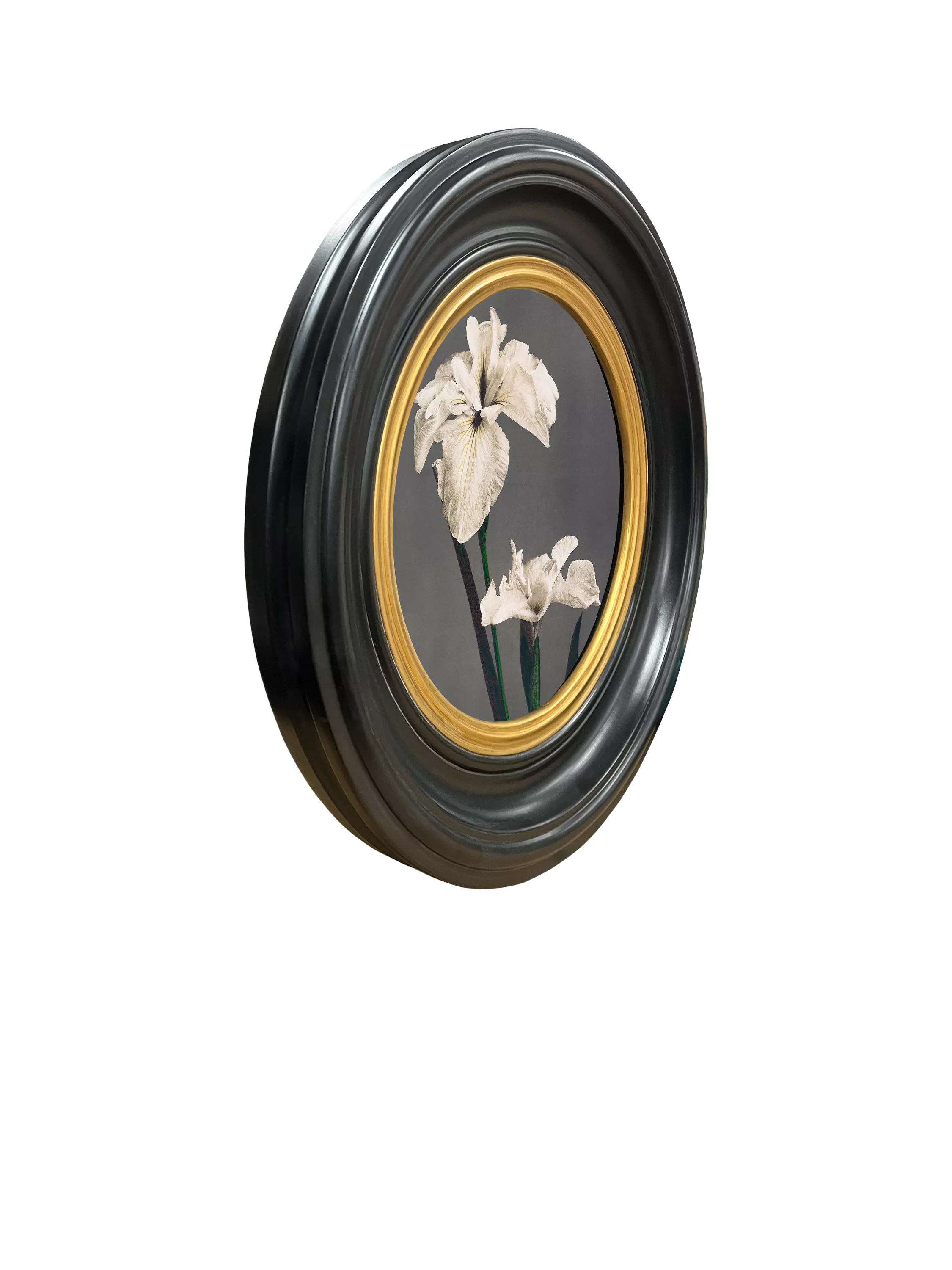 Brookpace Lascelles Iris round framed canvas print 43cm (British brand)