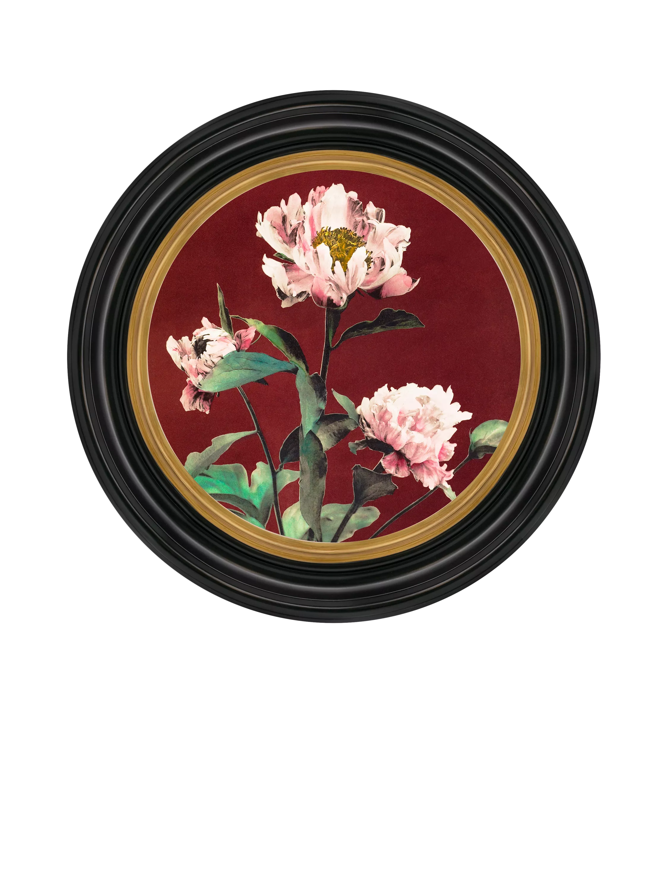 Brookpace Lascelles peony round canvas print 43cm, UK version