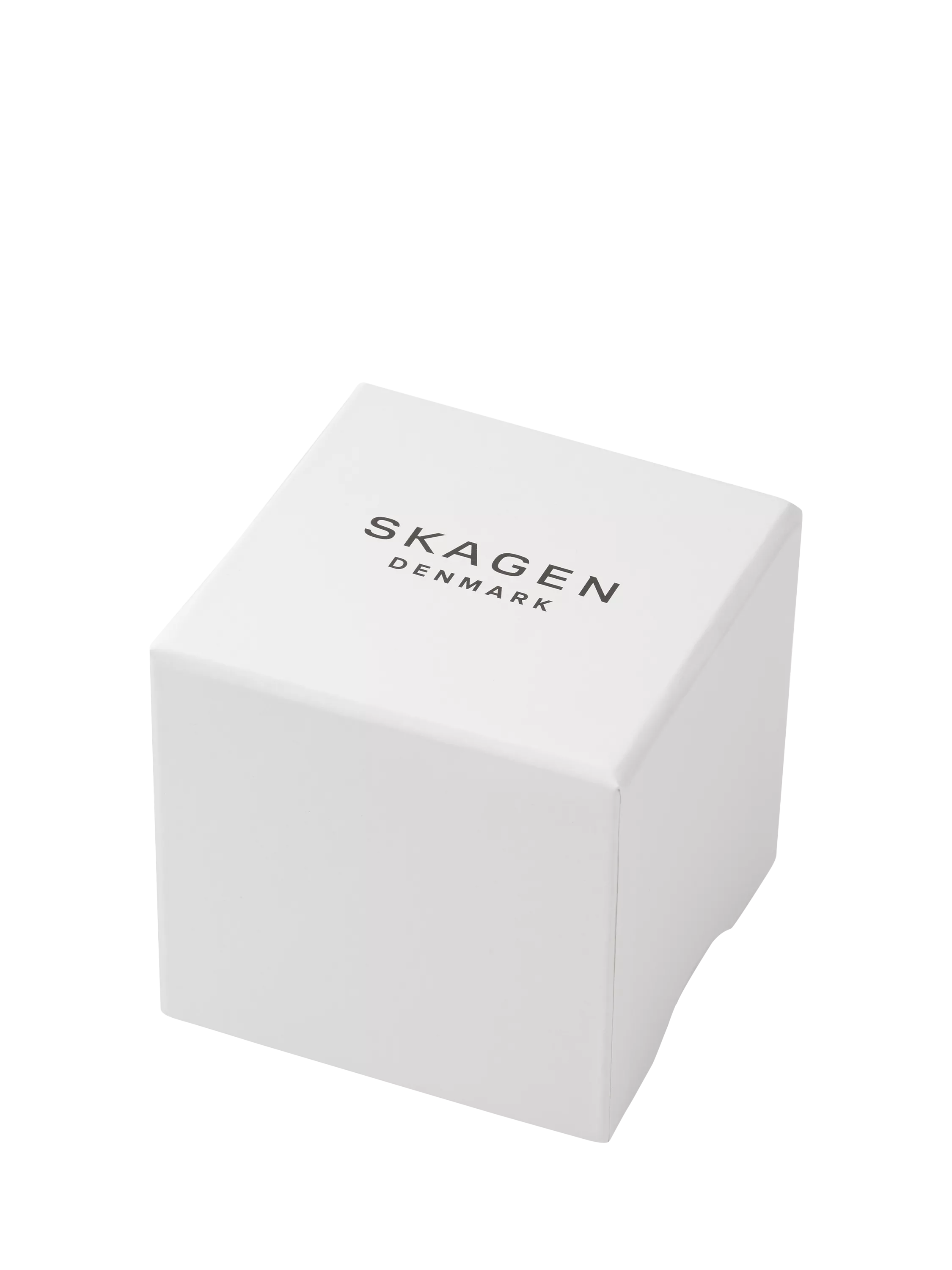 Skagen Hagen men's mesh watch black 36mm, UK version
