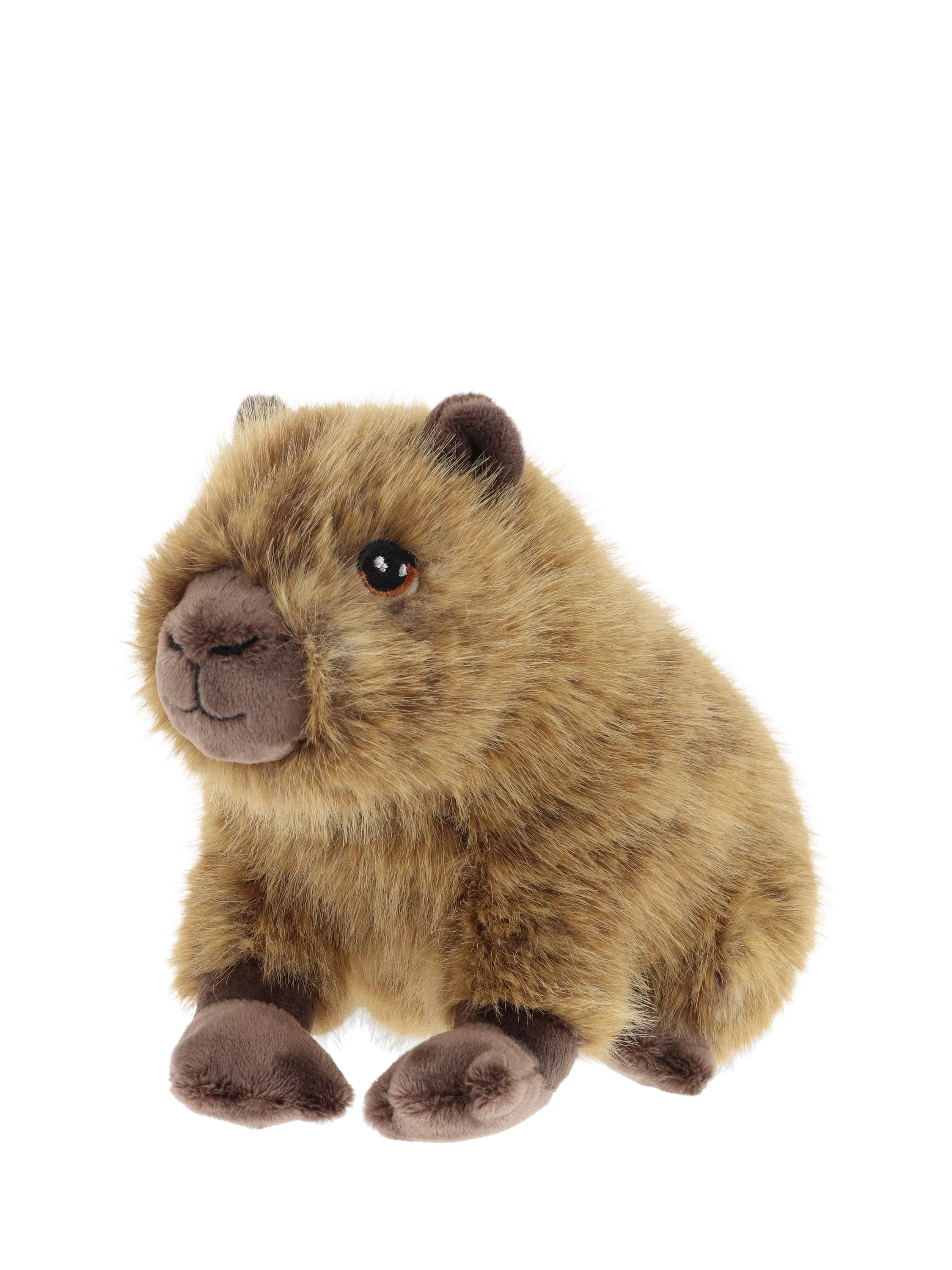 Keel Toys capybara soft toy 18cm from recycled polyester, UK version