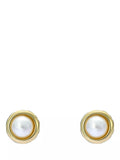 Ted Baker mini pearl stud earrings in gold, imported from the UK
