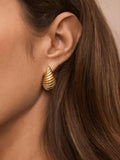Mint Velvet gold ribbed curved huggie hoop earrings (British brand)