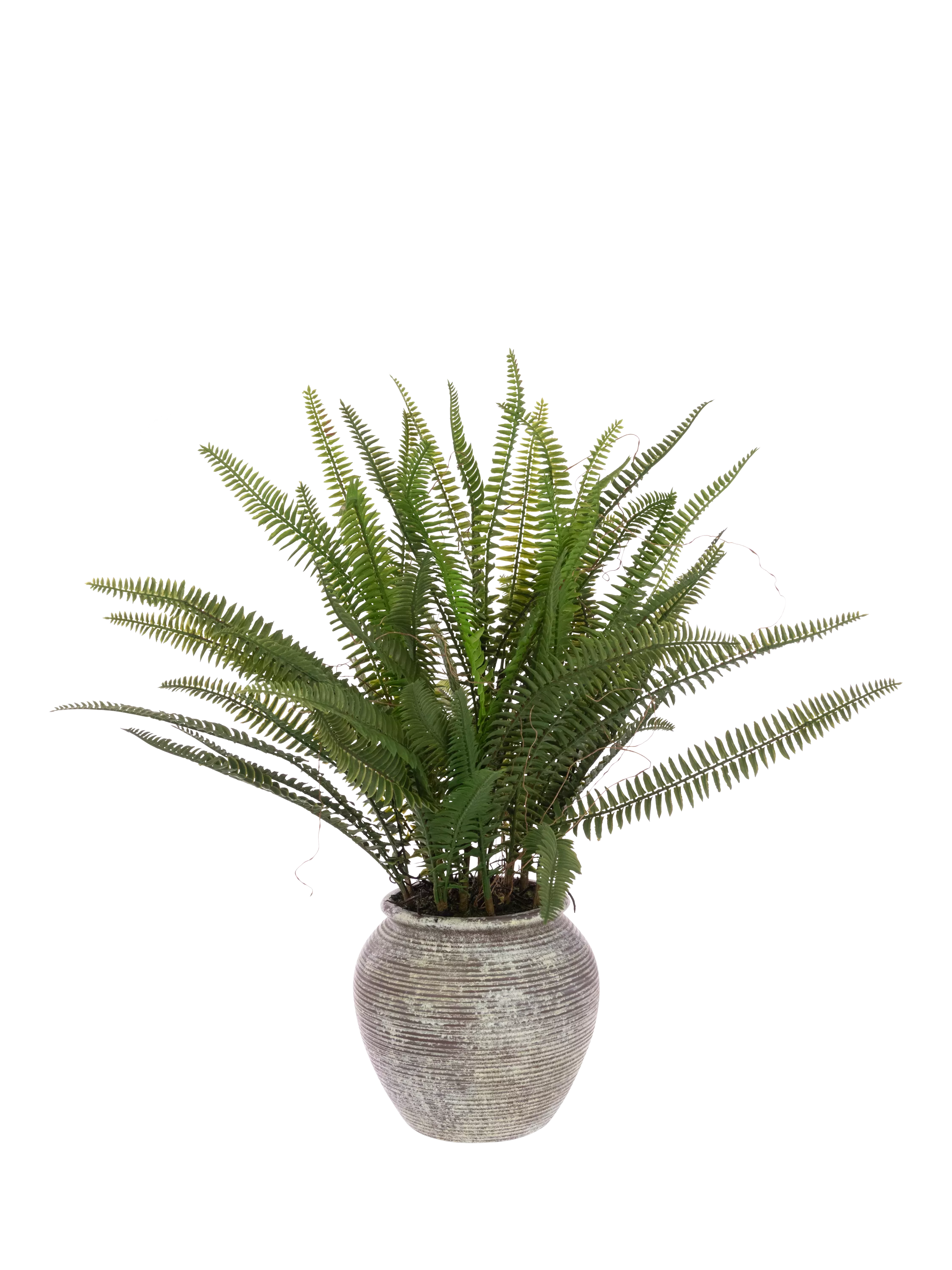 Floralsilk artificial fern in ceramic pot H56cm, imported from the UK