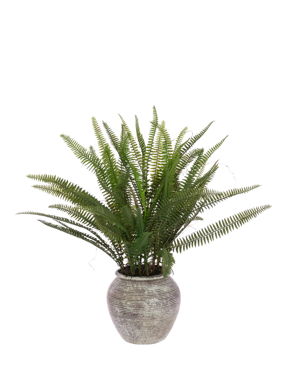 Floralsilk artificial fern in ceramic pot H56cm, imported from the UK