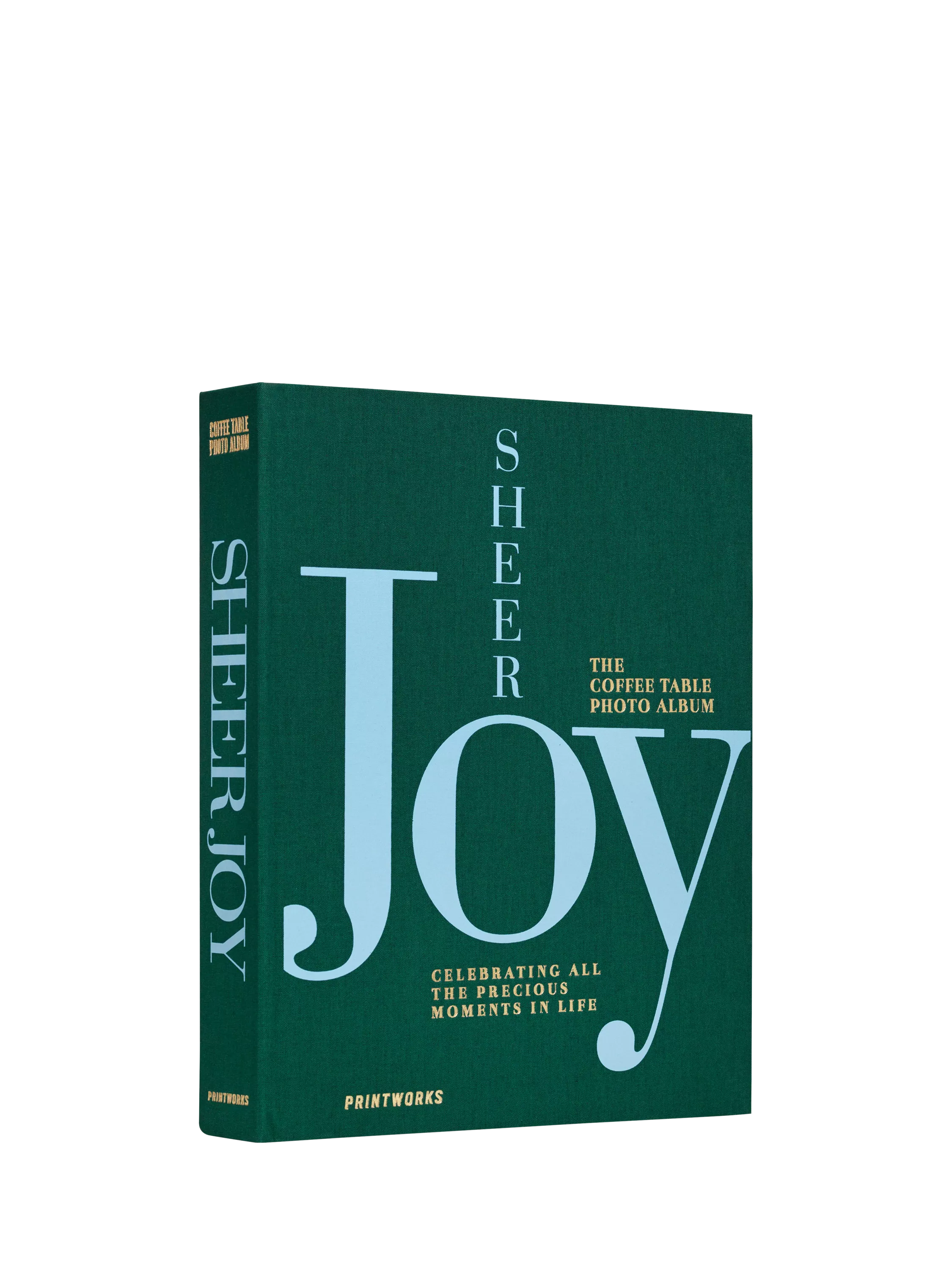 PRINTWORKS Sheer Joy green photo album, UK version