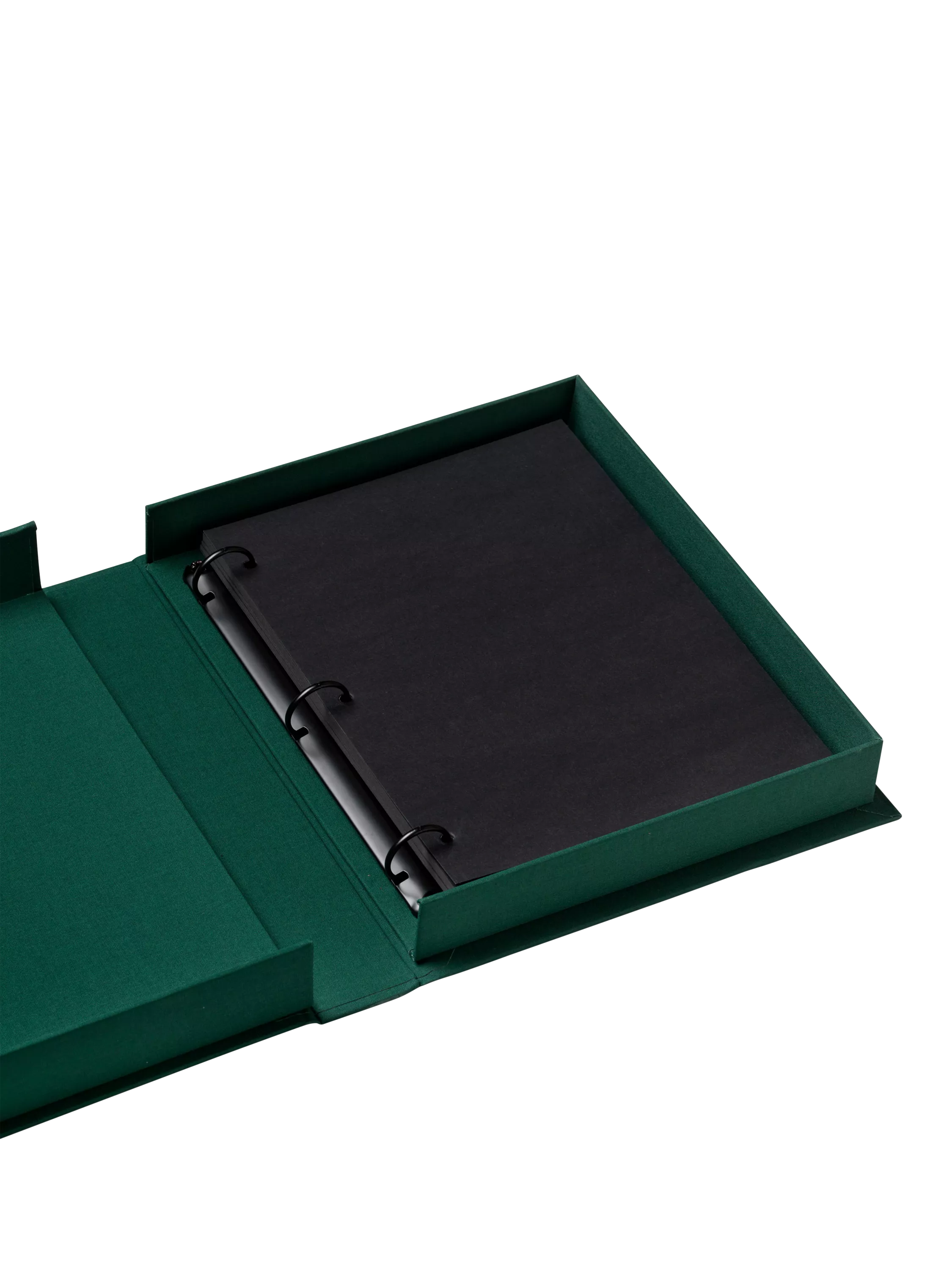 PRINTWORKS Sheer Joy green photo album, UK version