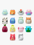 Squishmallows Squish-a-longs Mini-Squish 14-pack, imported from the UK