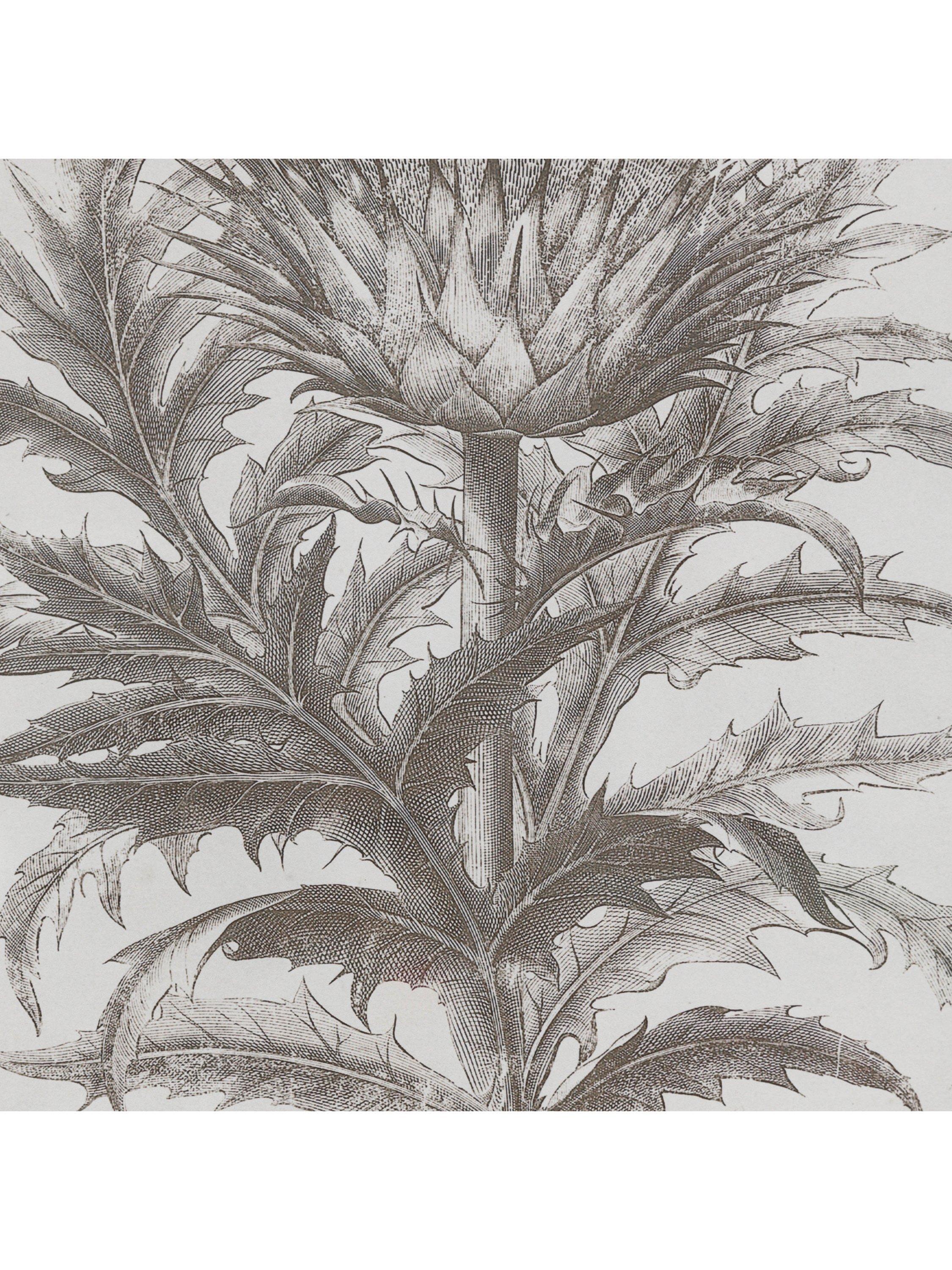 John Lewis Fresco botanical framed prints set of 3, imported from the UK