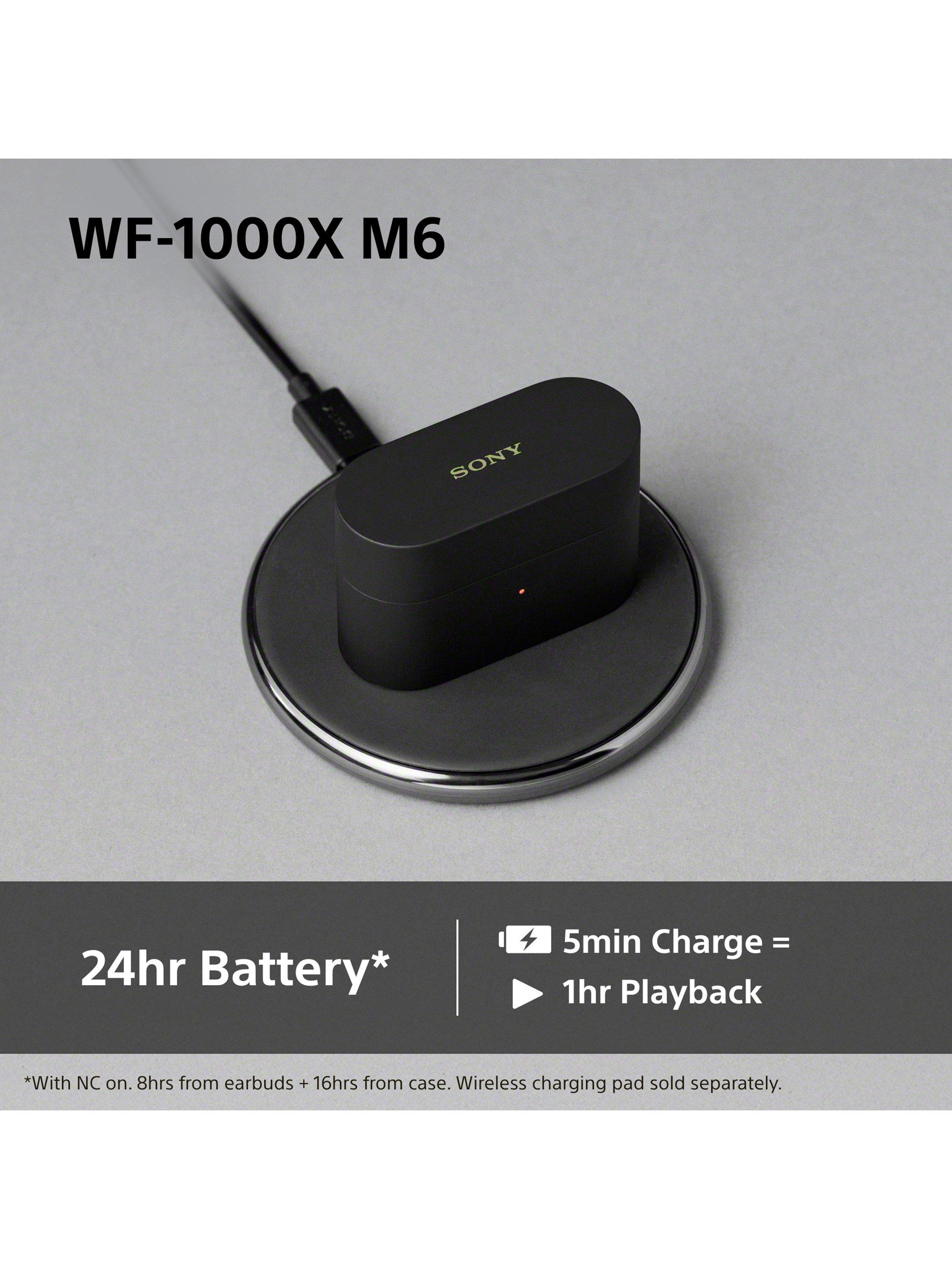 Sony WF-1000XM6 noise cancelling earbuds (British brand)