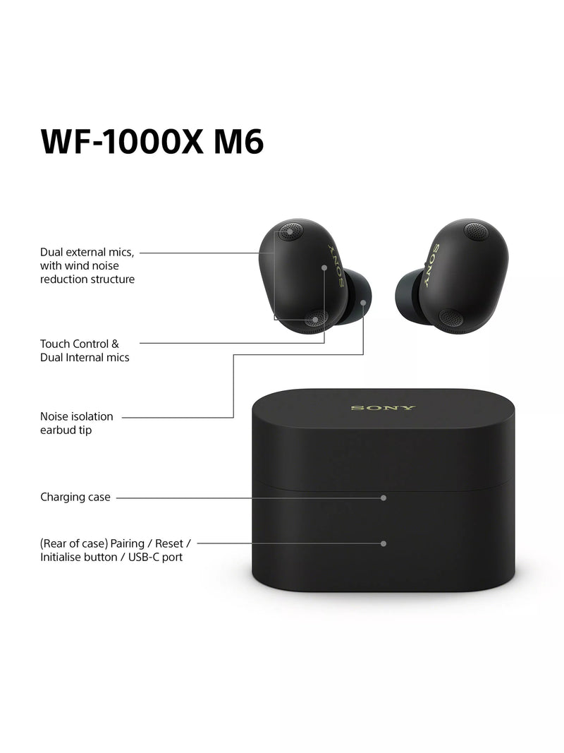 Sony WF-1000XM6 noise cancelling earbuds (British brand)