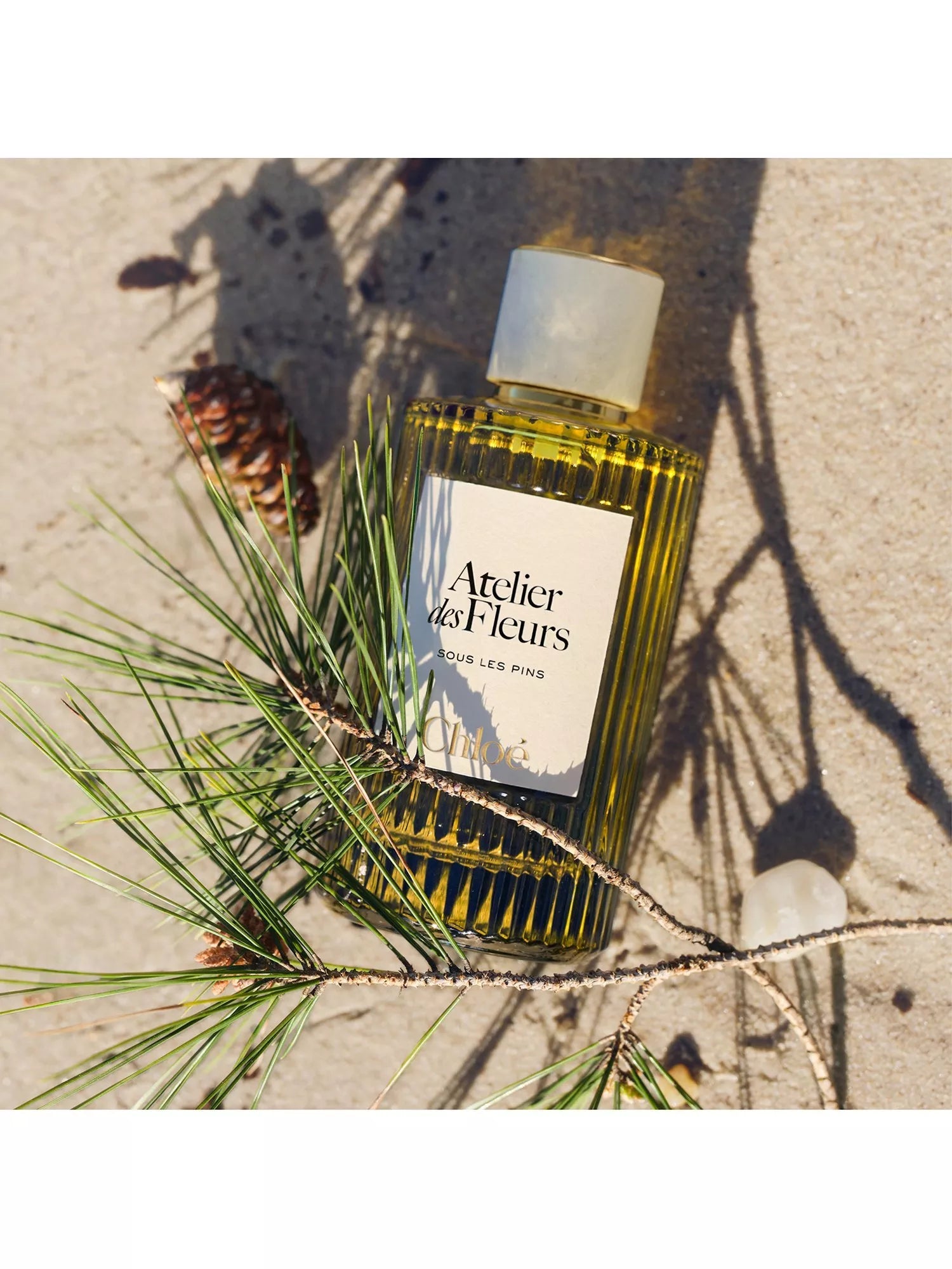Chloé Sous les Pins eau de parfum 150ml, UK version