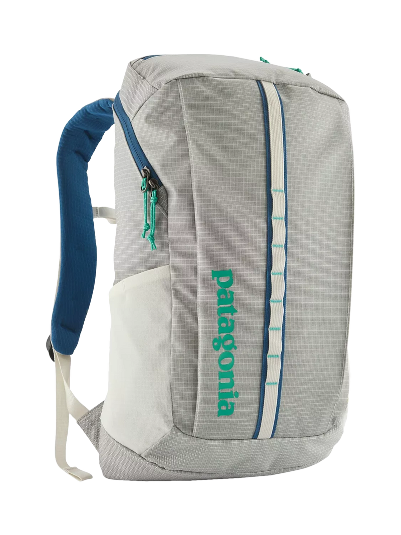 Patagonia Black Hole Backpack, 25L, Light Grey