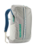 Patagonia Black Hole Backpack, 25L, Light Grey