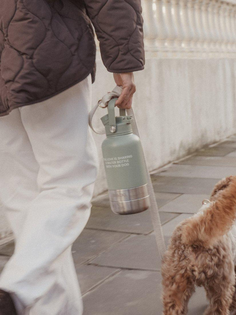 By Teddy Bowl Bottle 3-in-1 dog bottle green mid - British product