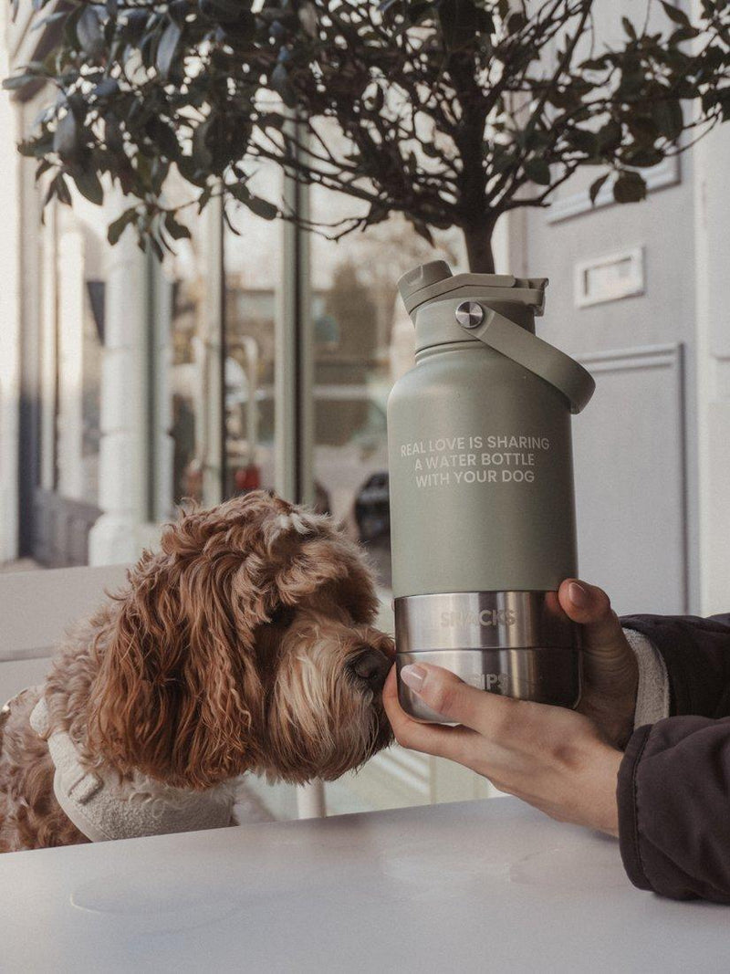 By Teddy Bowl Bottle 3-in-1 dog bottle green mid - British product
