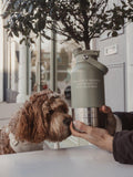 By Teddy Bowl Bottle 3-in-1 dog bottle green mid - British product