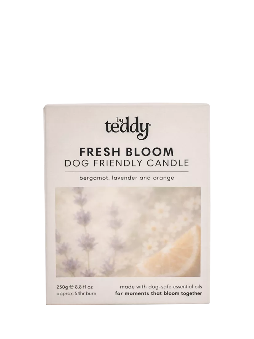 By Teddy Fresh Bloom scented candle 250g, imported from the UK