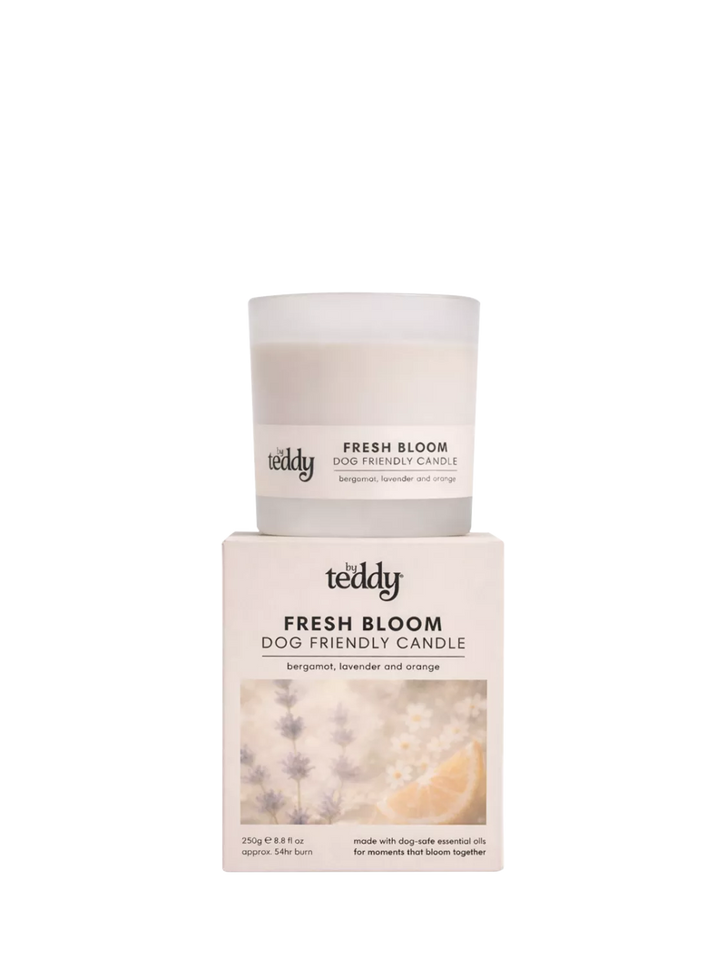 By Teddy Fresh Bloom scented candle 250g, imported from the UK