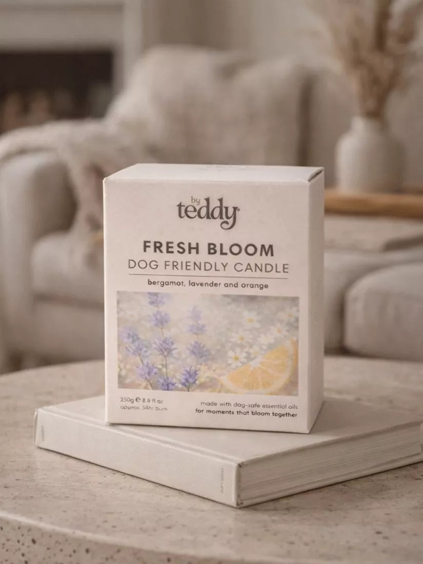 By Teddy Fresh Bloom scented candle 250g, imported from the UK