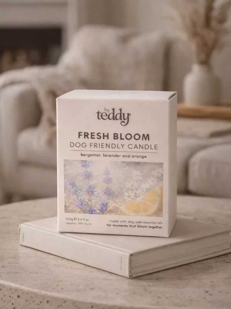 By Teddy Fresh Bloom scented candle 250g, imported from the UK