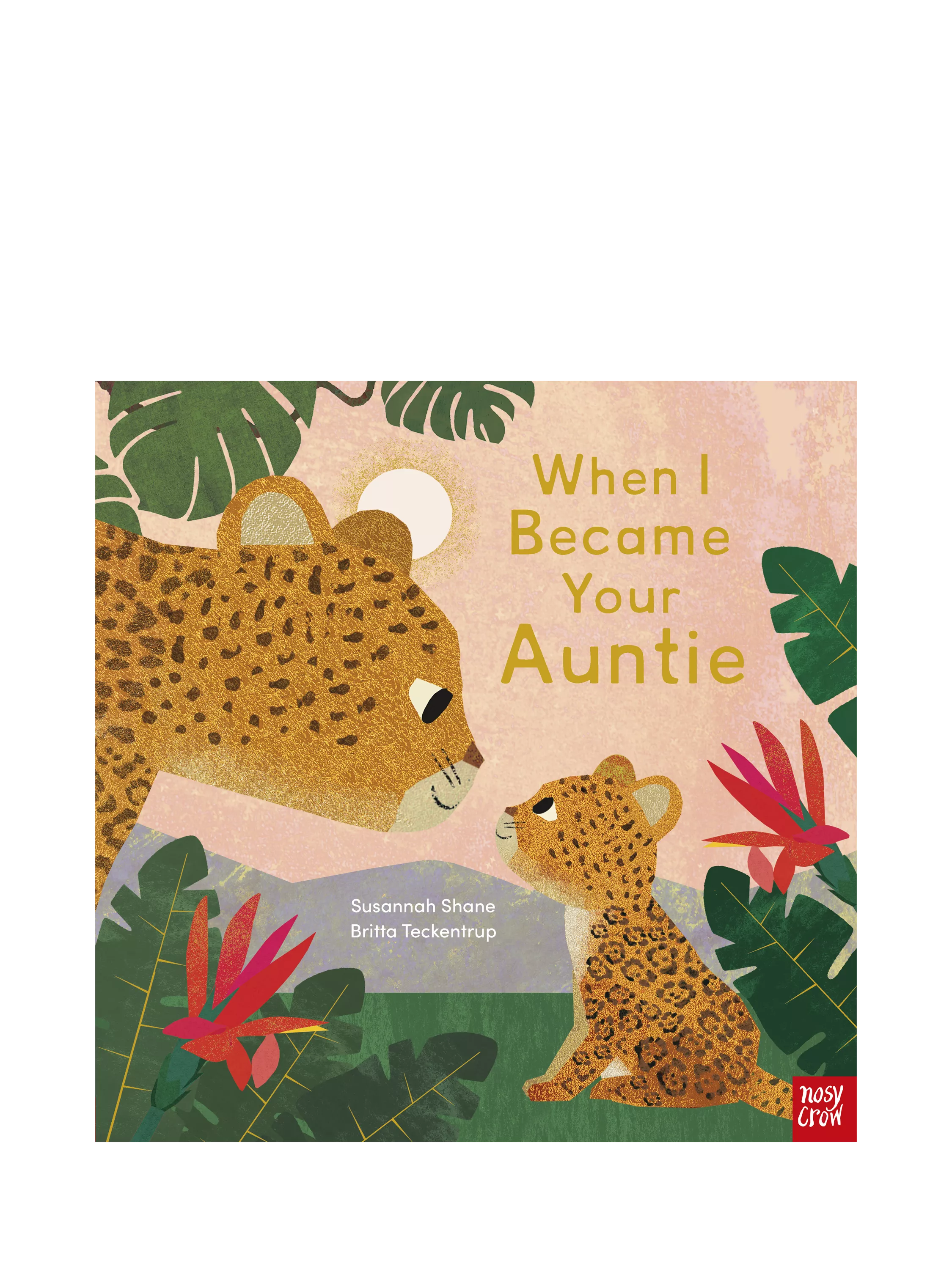 Nosy Crow When I Became Your Auntie children's picture book hardback, UK version