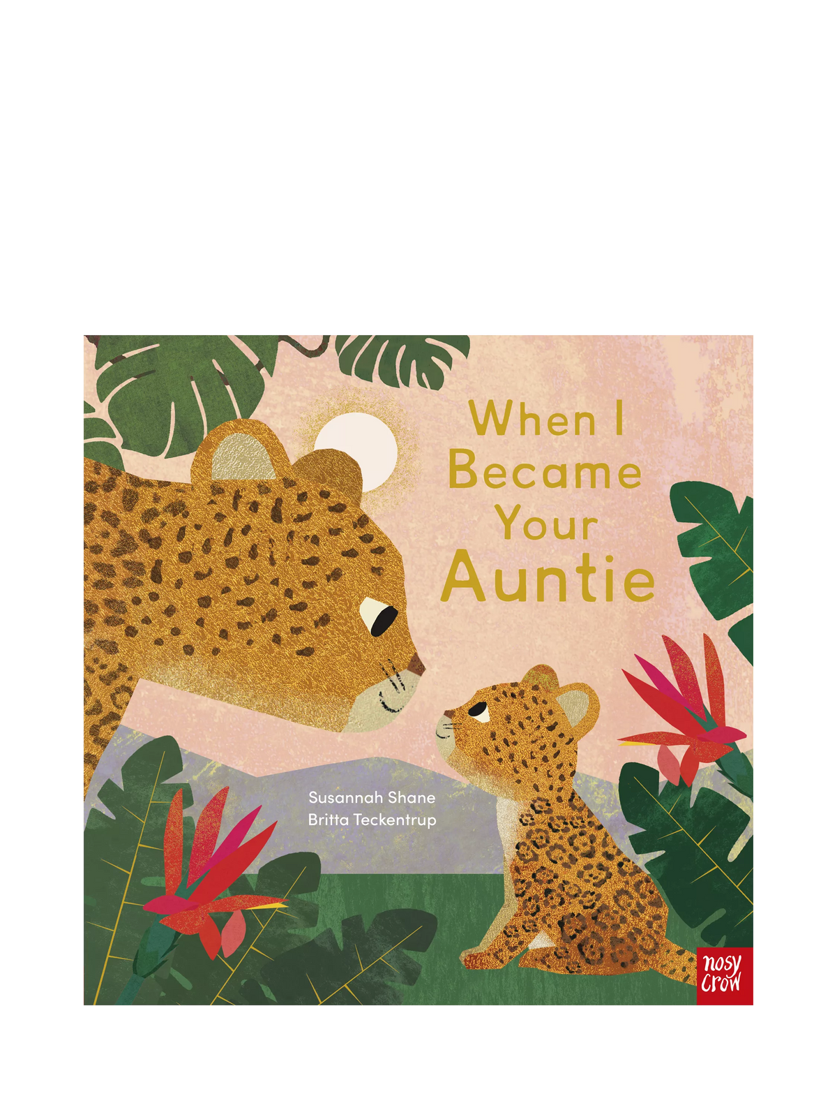 Nosy Crow When I Became Your Auntie children's picture book hardback, UK version