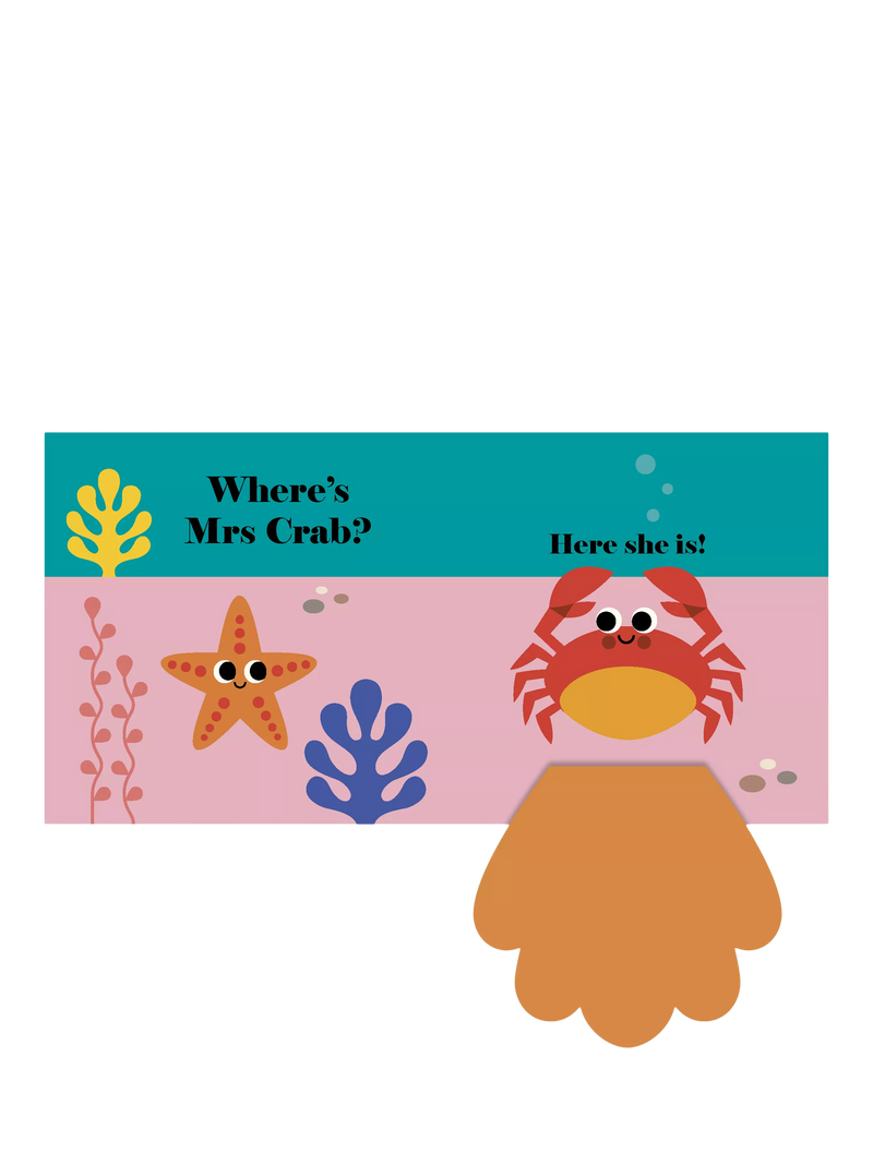 Nosy Crow Where's Mrs Fish board book 10 pages - British product