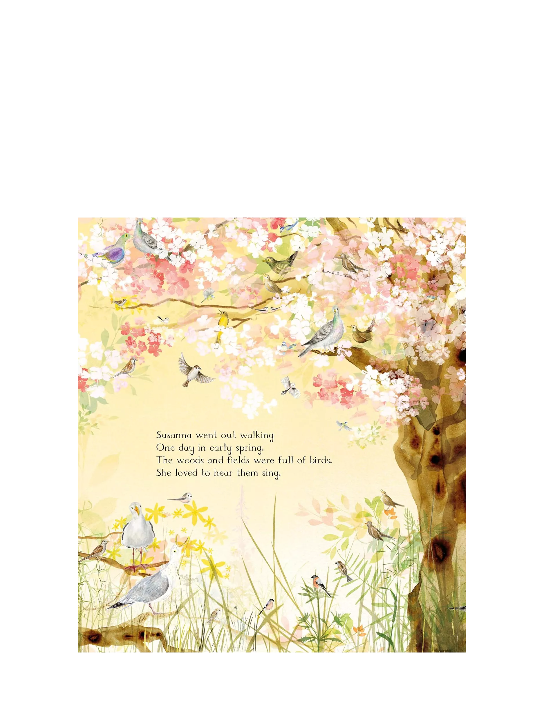 Julia Donaldson The Magic Feather children's picture book, UK version