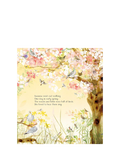 Julia Donaldson The Magic Feather children's picture book, UK version
