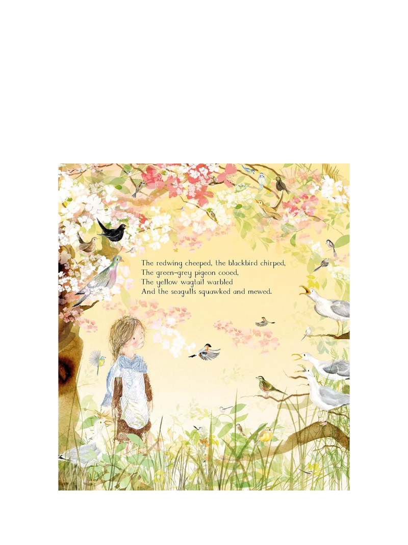 Julia Donaldson The Magic Feather children's picture book, UK version