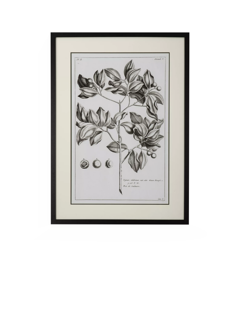 Neptune Whitechapel II print 109x79cm (British brand)