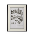 Neptune Whitechapel II print 109x79cm (British brand)