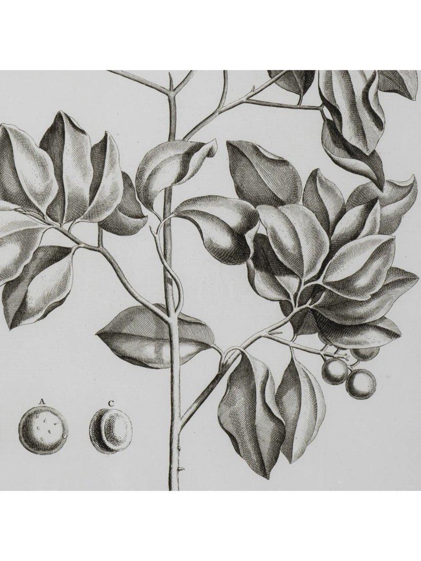 Neptune Whitechapel II print 109x79cm (British brand)