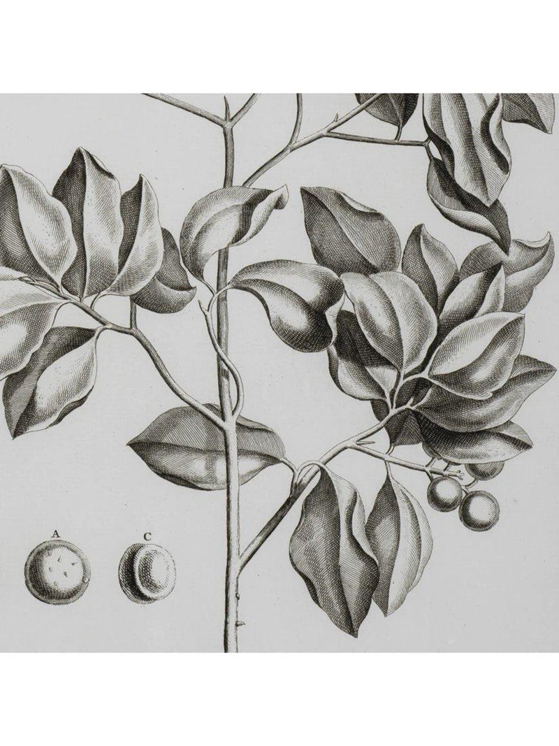 Neptune Whitechapel II print 109x79cm (British brand)