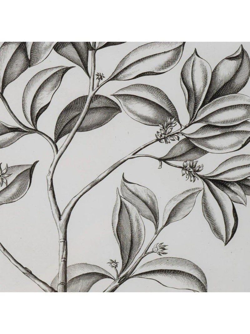 Neptune Whitechapel botanical print 109x79cm, imported from the UK