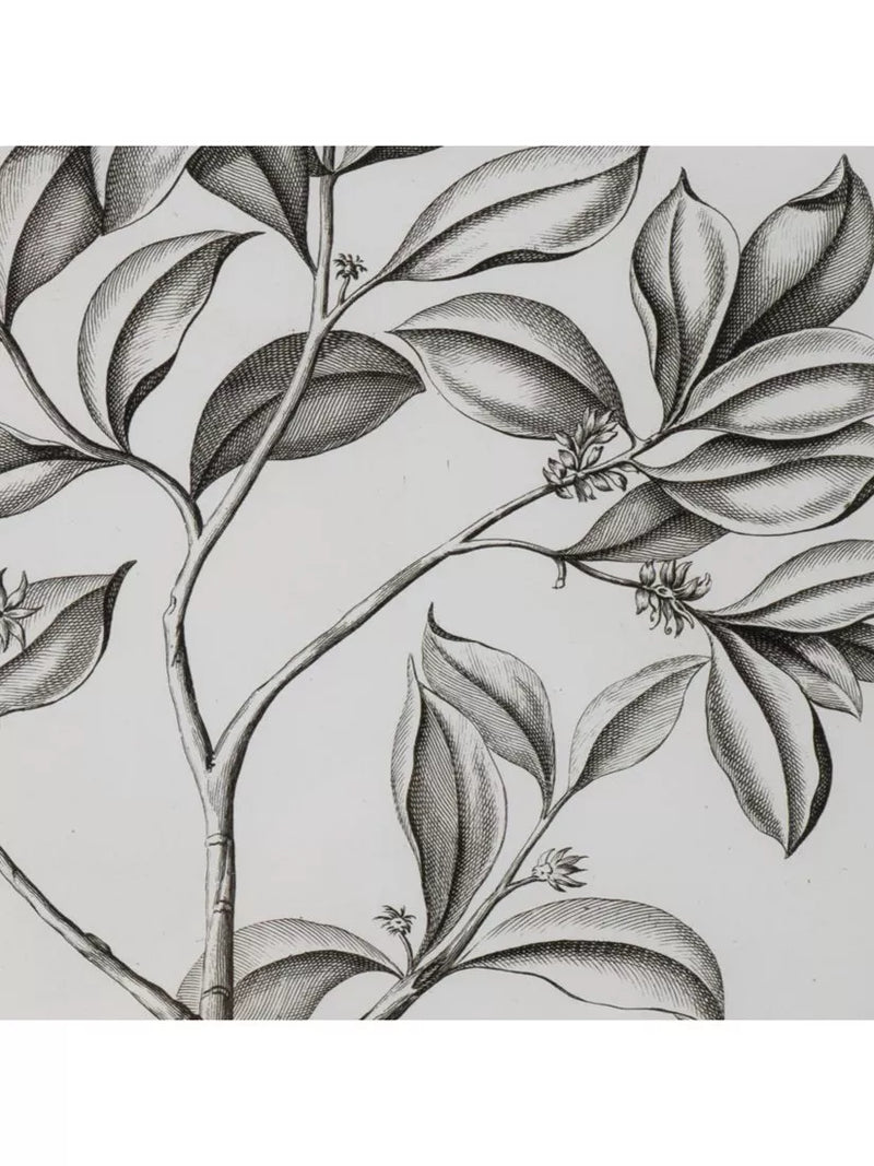 Neptune Whitechapel botanical print 109x79cm, imported from the UK