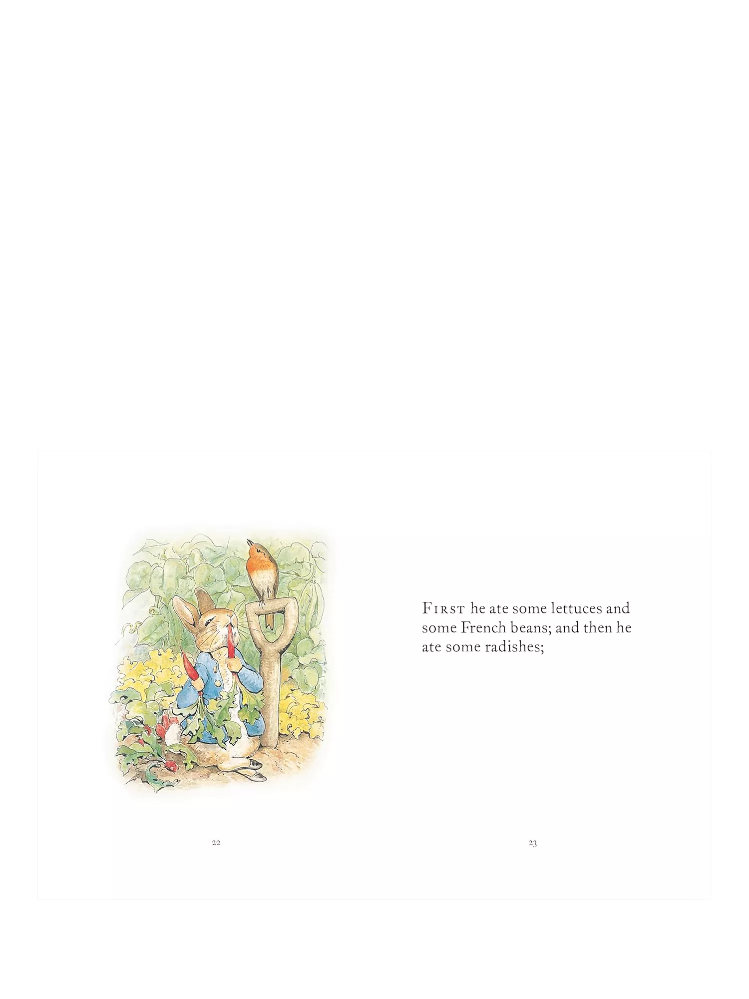 Peter Rabbit My First Collection 4-book boxed set (British brand)