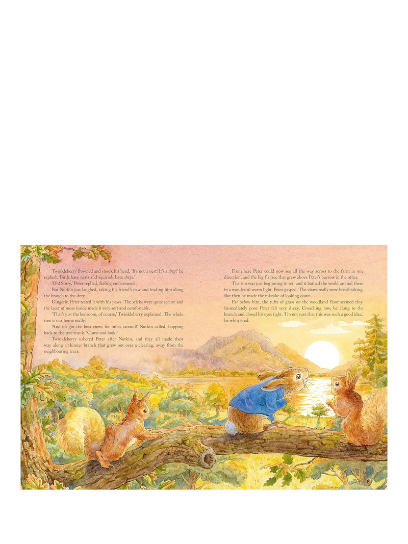 Peter Rabbit Beatrix Potter bedtime stories hardback book, UK version