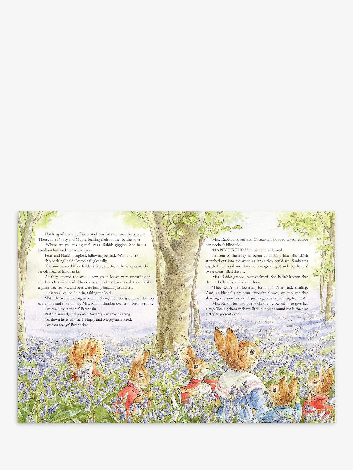 Peter Rabbit Tales from the Countryside hardback storybook (British brand)