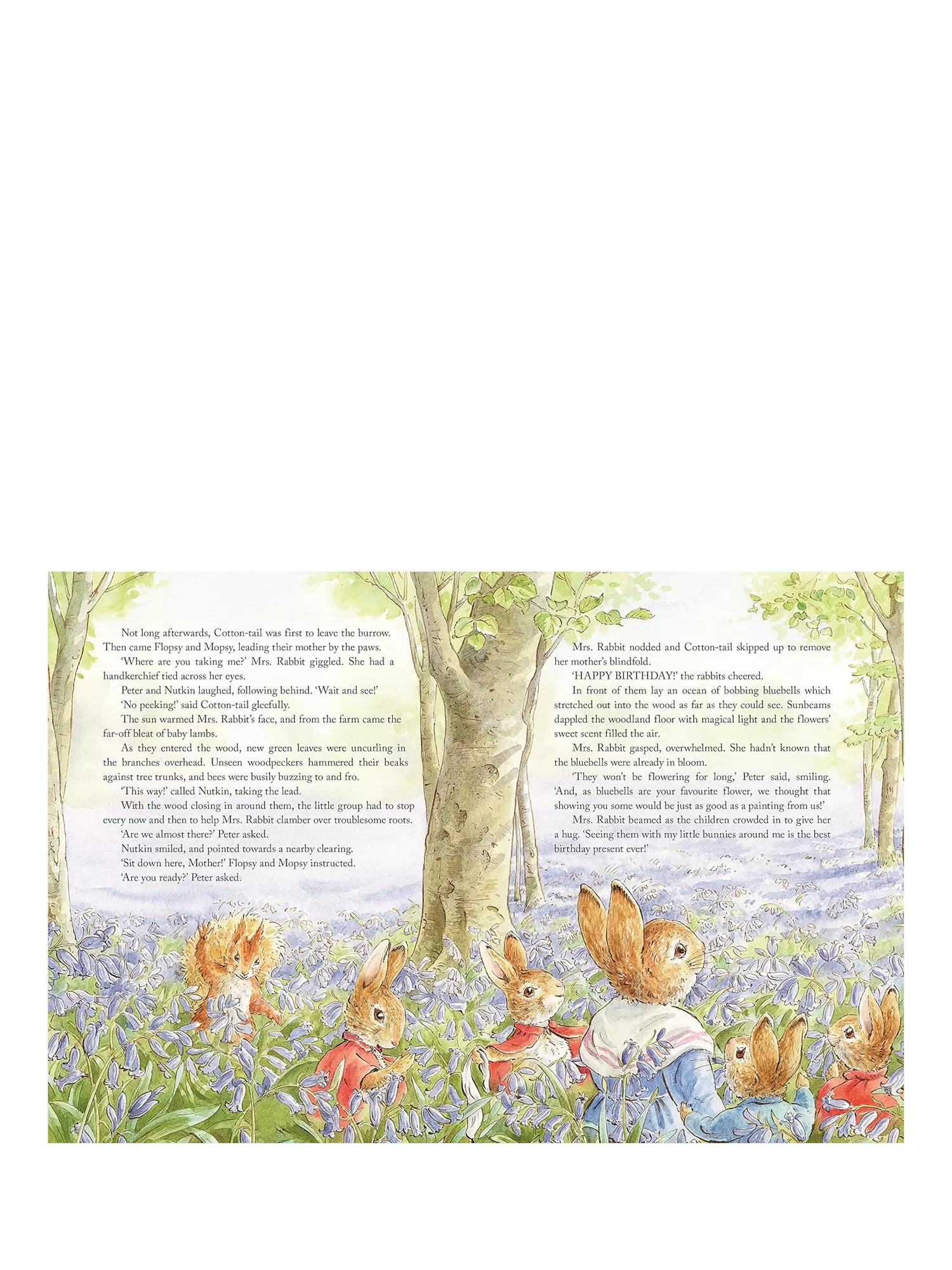 Peter Rabbit Tales from the Countryside hardback storybook (British brand)