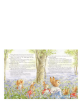 Peter Rabbit Tales from the Countryside hardback storybook (British brand)