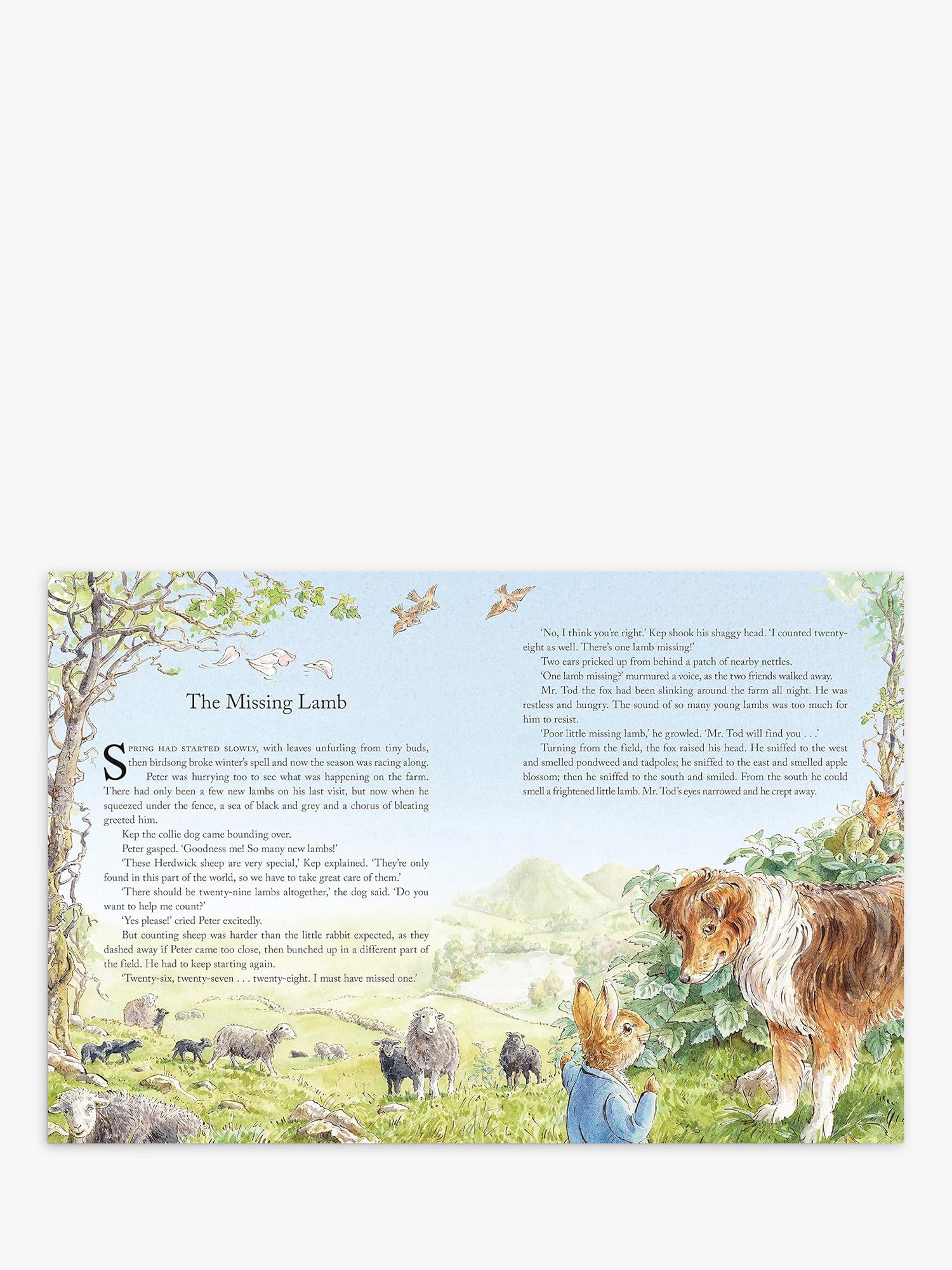 Peter Rabbit Tales from the Countryside hardback storybook (British brand)