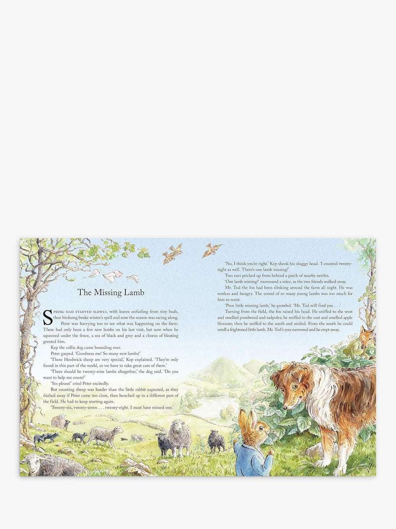 Peter Rabbit Tales from the Countryside hardback storybook (British brand)