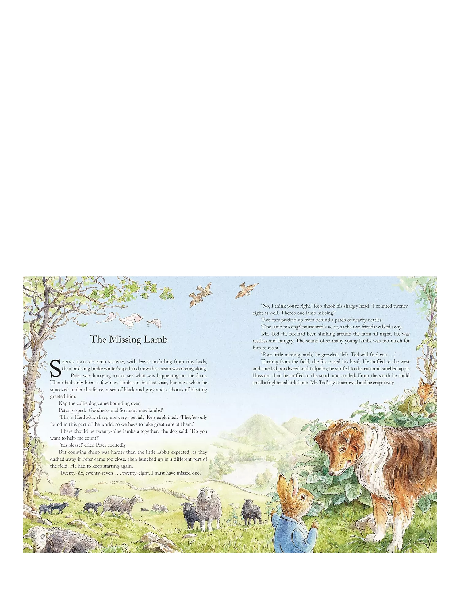 Peter Rabbit Tales from the Countryside hardback storybook (British brand)