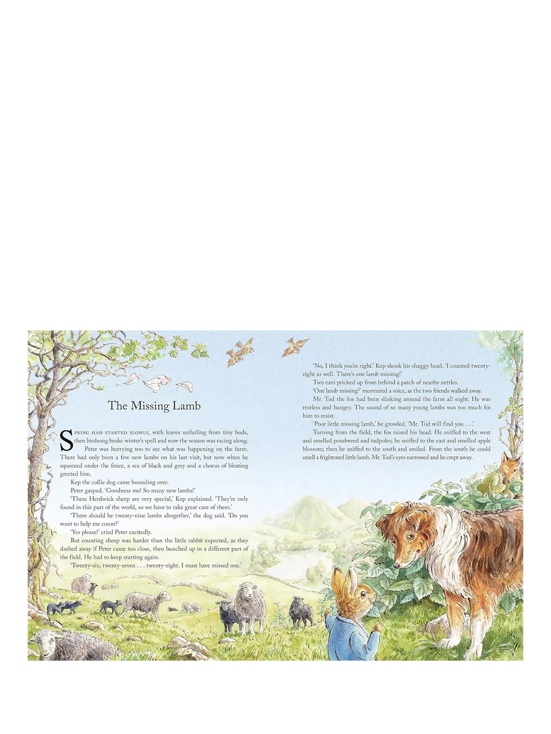 Peter Rabbit Tales from the Countryside hardback storybook (British brand)