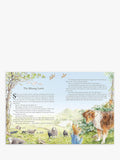 Peter Rabbit Tales from the Countryside hardback storybook (British brand)