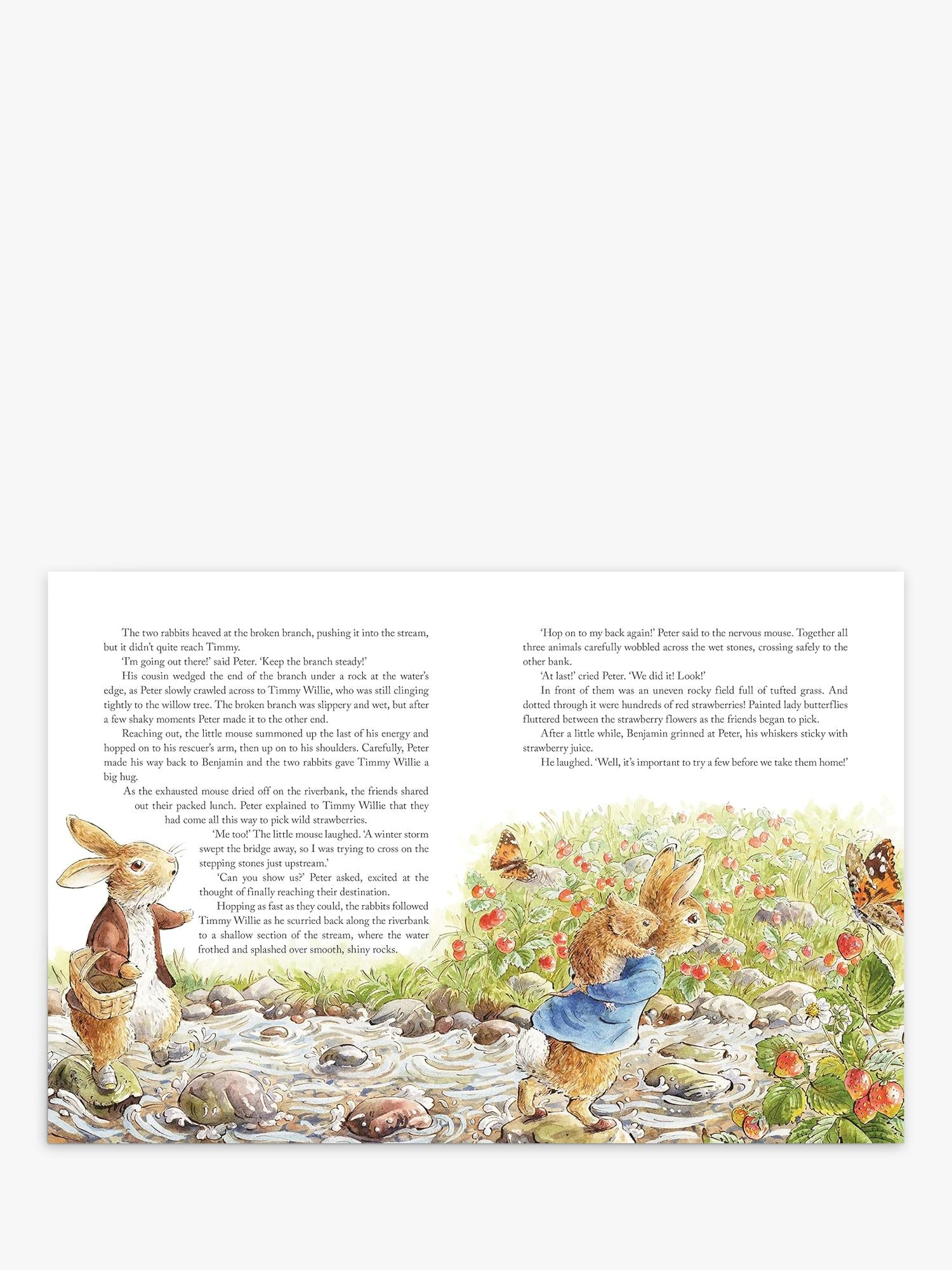 Peter Rabbit Tales from the Countryside hardback storybook (British brand)